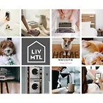 Liv Mtl Soho