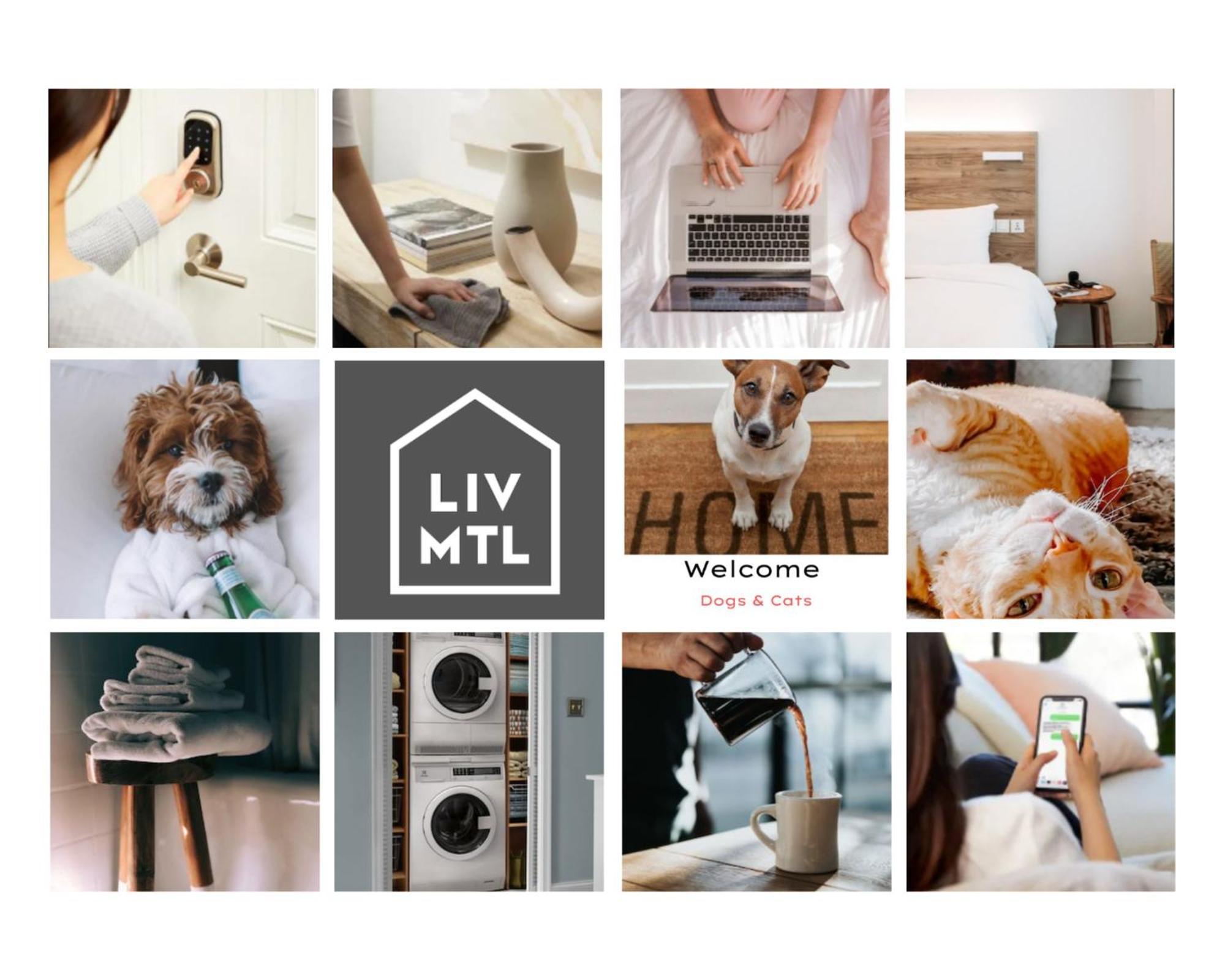 Liv Mtl Soho Montreal